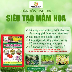 Siêu Tạo Mầm Hoa – X2 Sức Mạnh Bio Chitosan Kích Bật Mầm