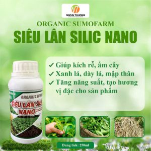 Siêu Lân Silic Nano 20.20.20.TE – Organic Sumo Farm