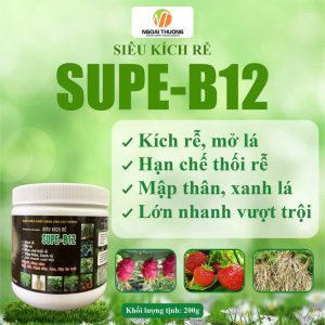 Siêu Kích Rễ Supe B12 – Phân Bón Sinh Học Andu Bio