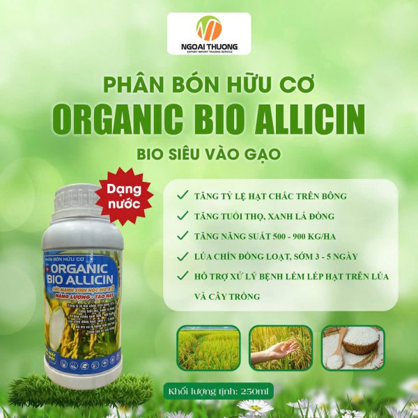 Organic Bio Allicin Dạng Nước - Siêu Vào Gạo Cho Lúa