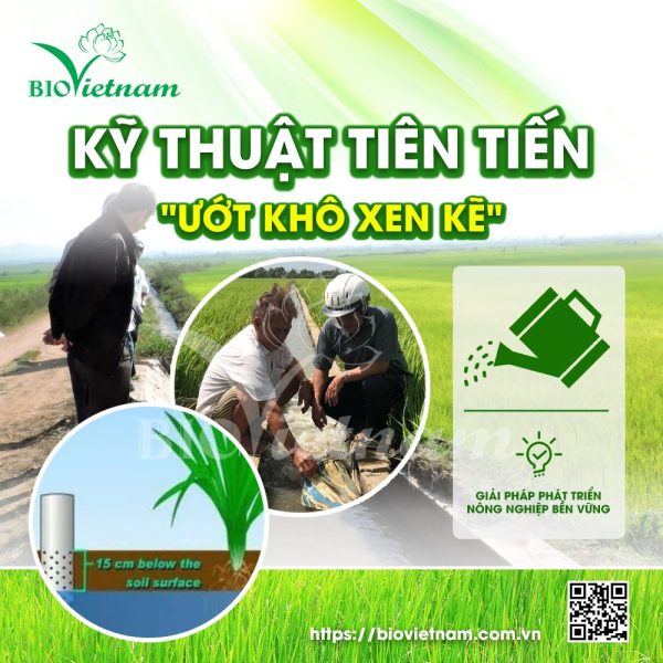 Kỹ thuật ướt khô xen kẽ