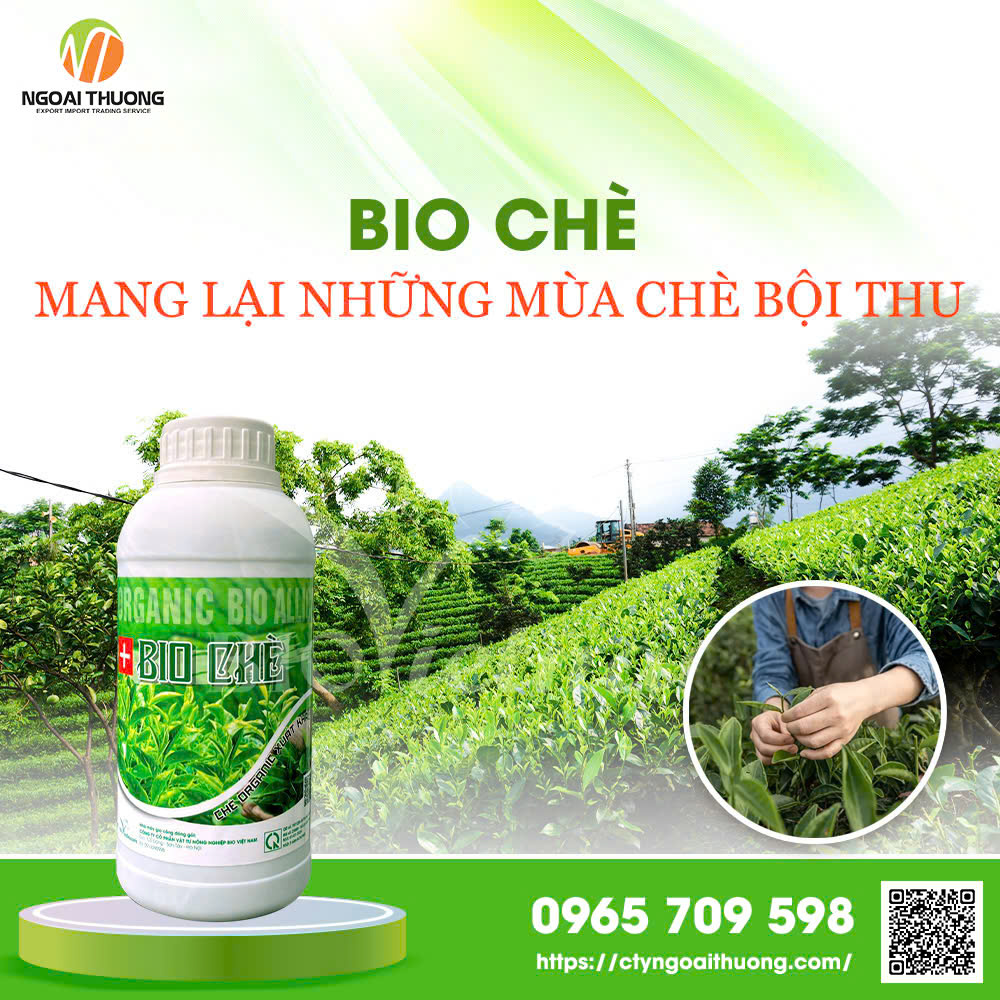 Bio Chè: Mang Lại Những Mùa Chè Bội Thu